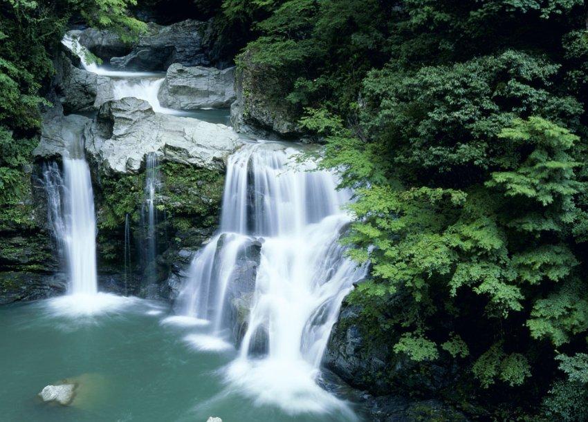 大雨林逃生